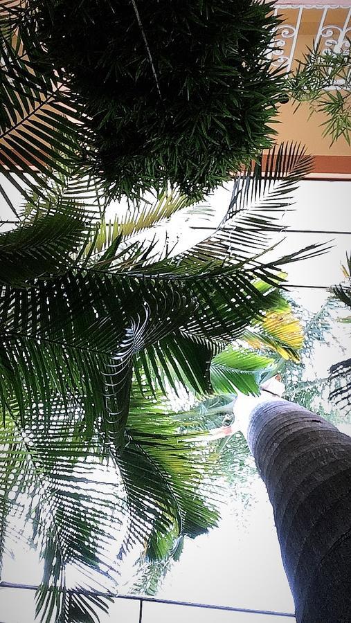 Hotel Tierra Del Sol Oaxaca المظهر الخارجي الصورة
