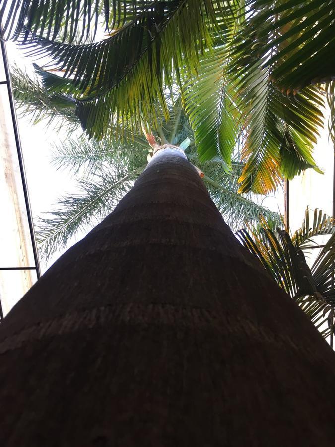 Hotel Tierra Del Sol Oaxaca المظهر الخارجي الصورة