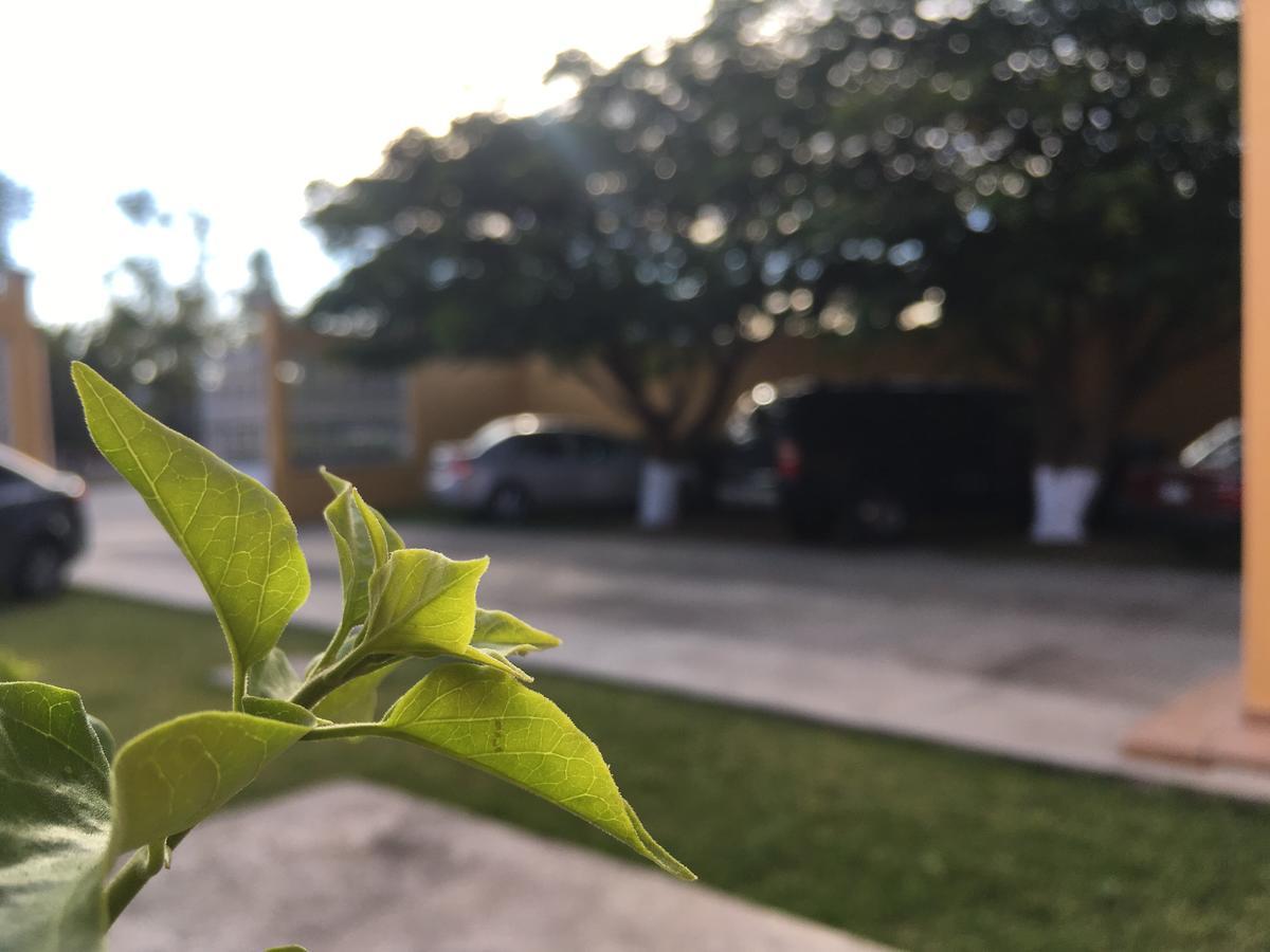 Hotel Tierra Del Sol Oaxaca المظهر الخارجي الصورة